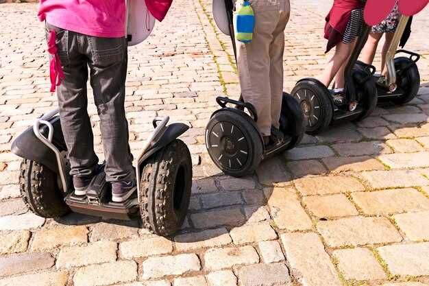 Charging Options and Time Comparisons for Electric Mini Cars