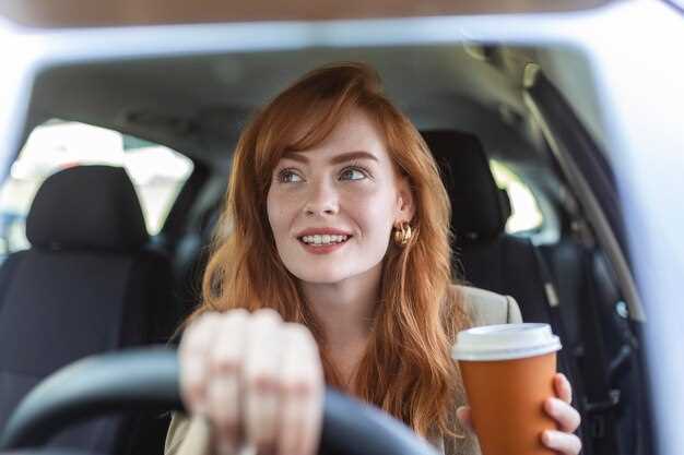 Assessing Fiat Models for Daily Commuting